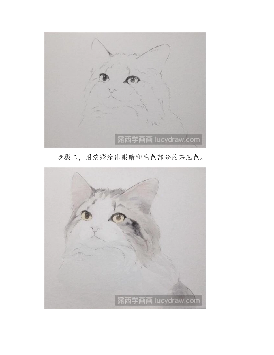 挪威森林猫水彩画教程水彩画教程_第2页