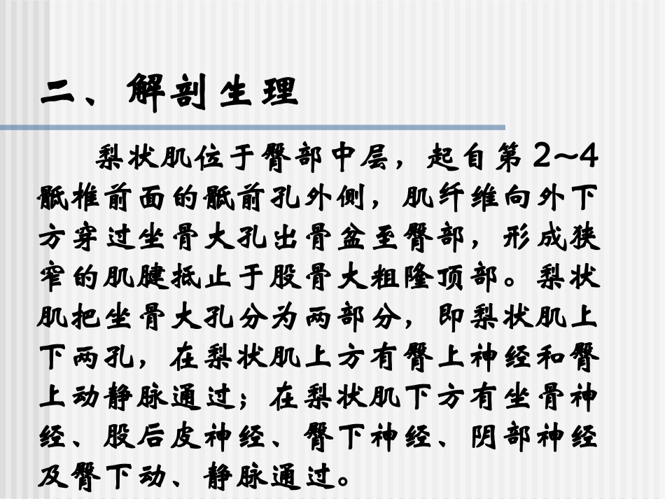 梨状肌综合症实习_第2页