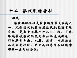 梨状肌综合症实习