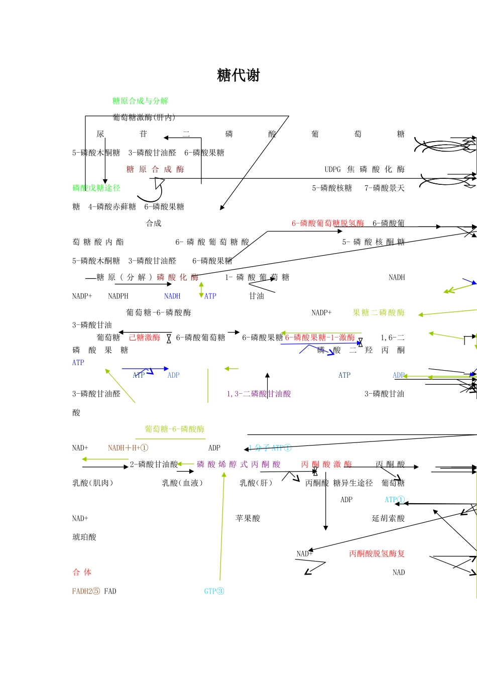 四大营养代谢途径_第1页