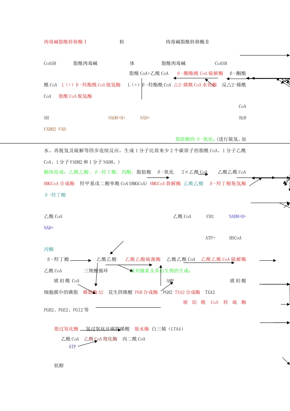 四大营养代谢途径_第3页