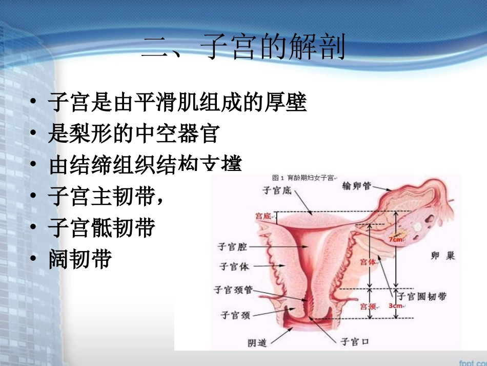 宫颈癌业务查房_第3页