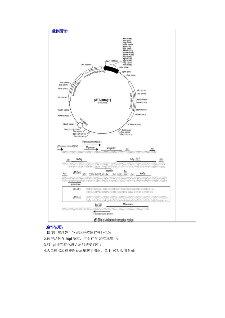 pET-30a大肠杆菌表达载体-质粒-菌株_第2页
