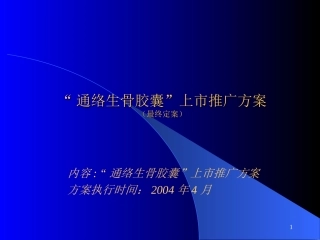 通络活骨胶囊上市推广细案