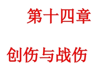 创伤概论(大本)