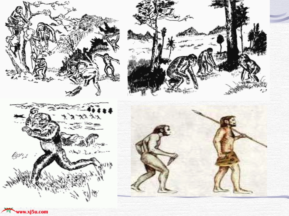 我们的祖先(鄂教版)五年级品德与社会上册PPT课件_第3页