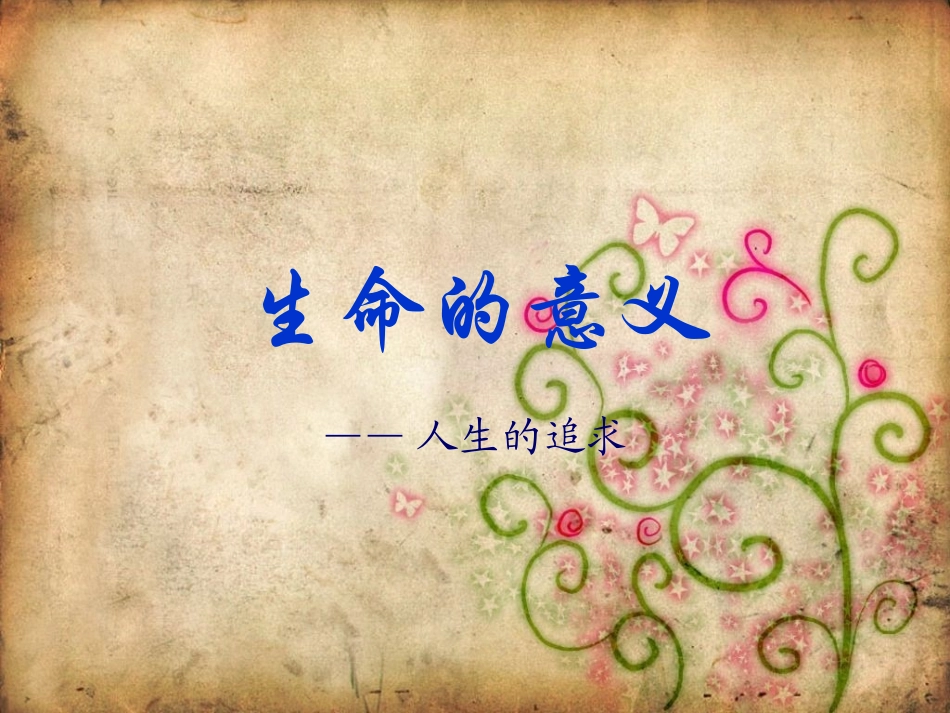 生命的意义ppt_第1页