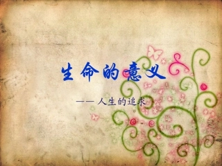 生命的意义ppt
