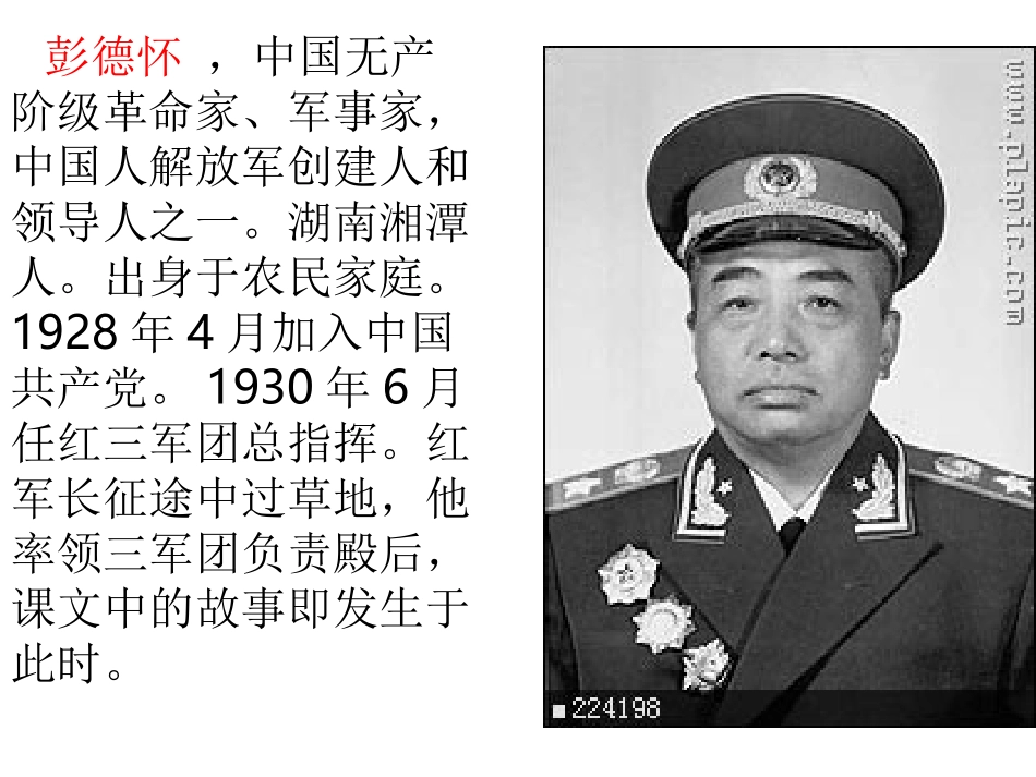 彭德怀和他的大黑骡子_第2页
