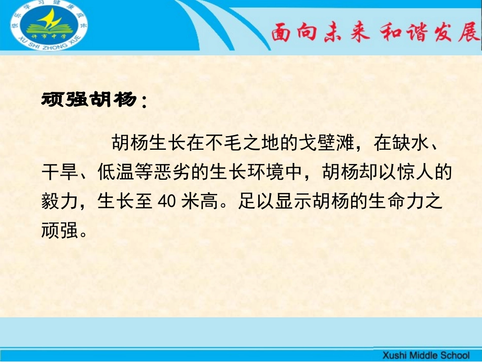 我们的胡杨精神_第3页