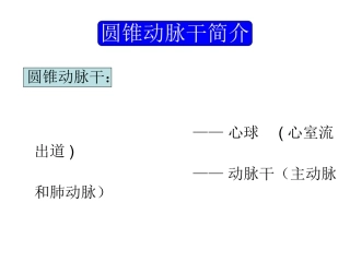 胎儿心脏锥干畸形有动画