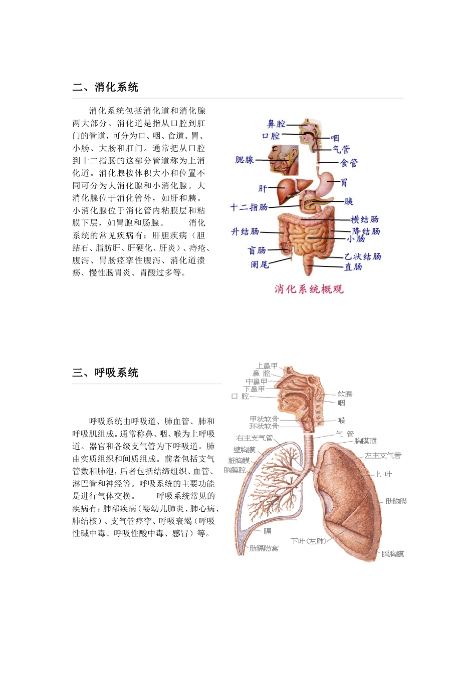 人体九大系统_第2页