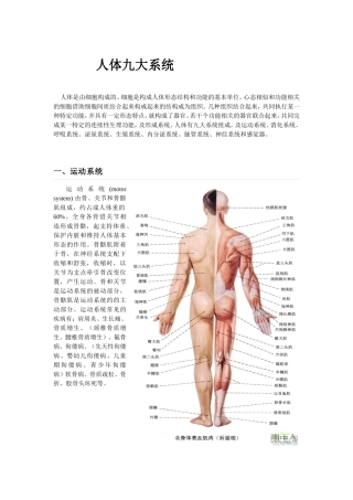 人体九大系统