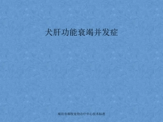 犬肝功能衰竭并发症-腹水、肝性脑病等资料