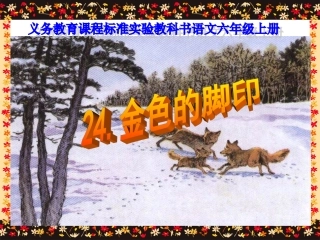 《金色的脚印》课件 (2)
