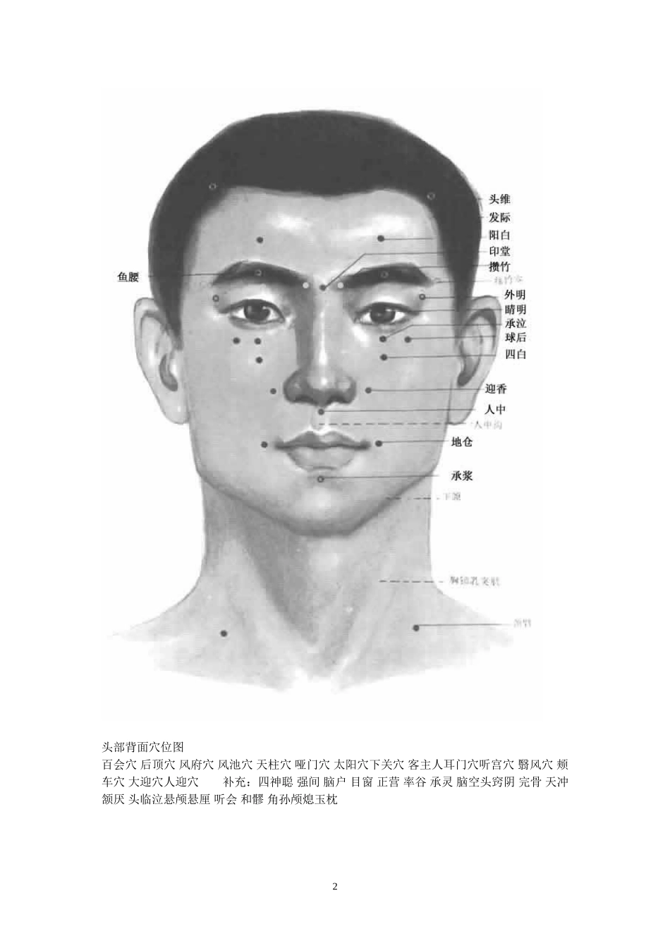 人体穴位图作用_第2页
