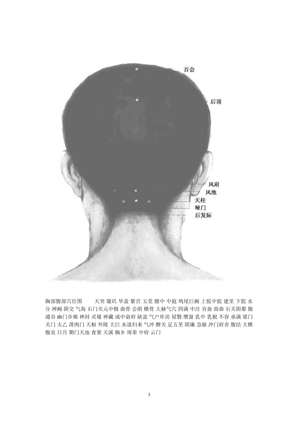 人体穴位图作用_第3页