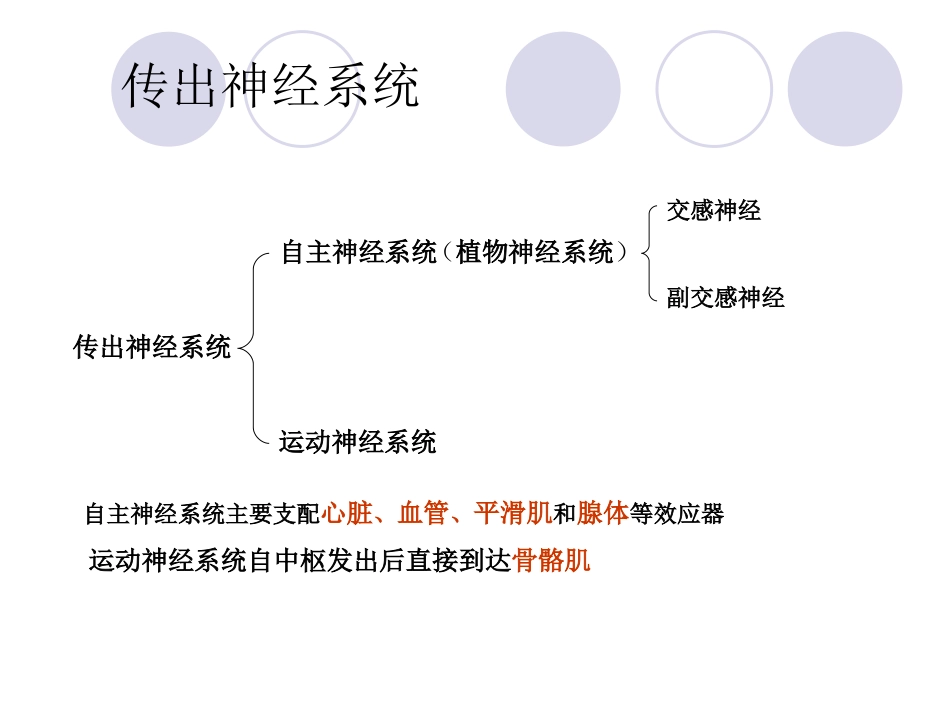 传出神经系统药理-图文_第2页