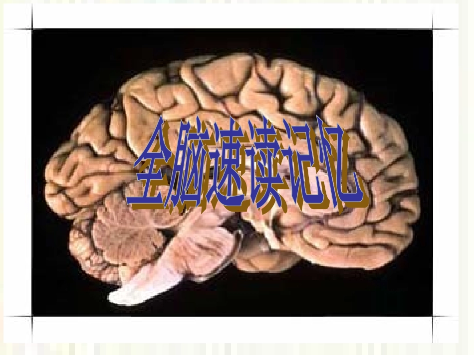 全脑速读记忆_第1页