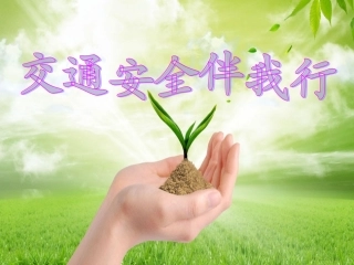 交通安全主题班会说课课件