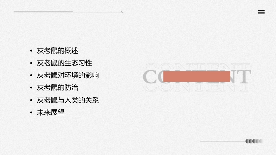 又遇到了灰老鼠剖析课件_第2页