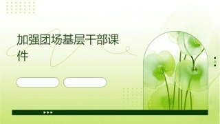 加强团场基层干部课件