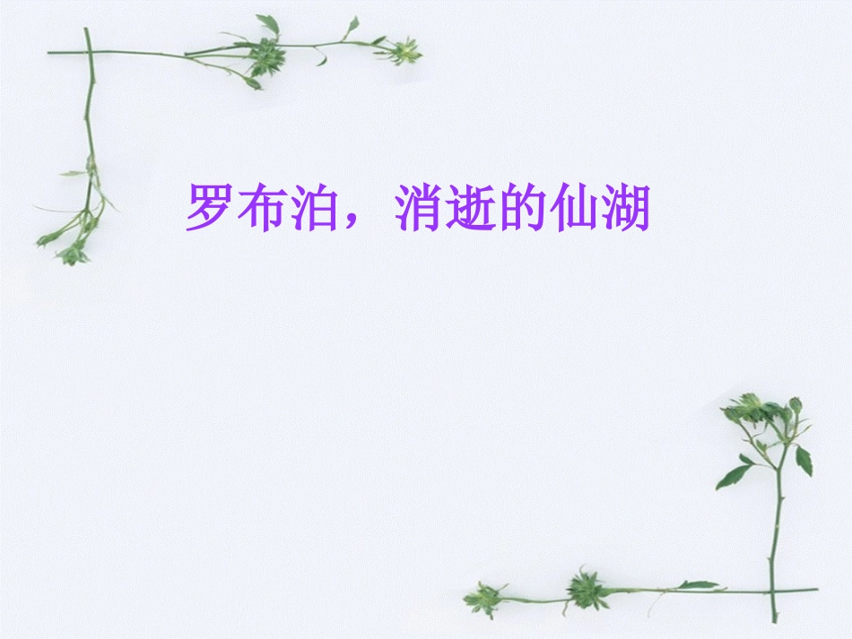 《罗布泊，消逝的仙湖》课件--基础篇_第1页