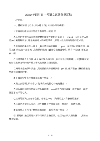 2020年四川九年级语文中考试题分