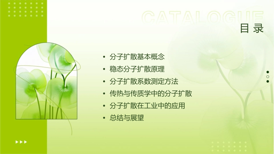 传热与传质学稳态分子扩散课件_第2页