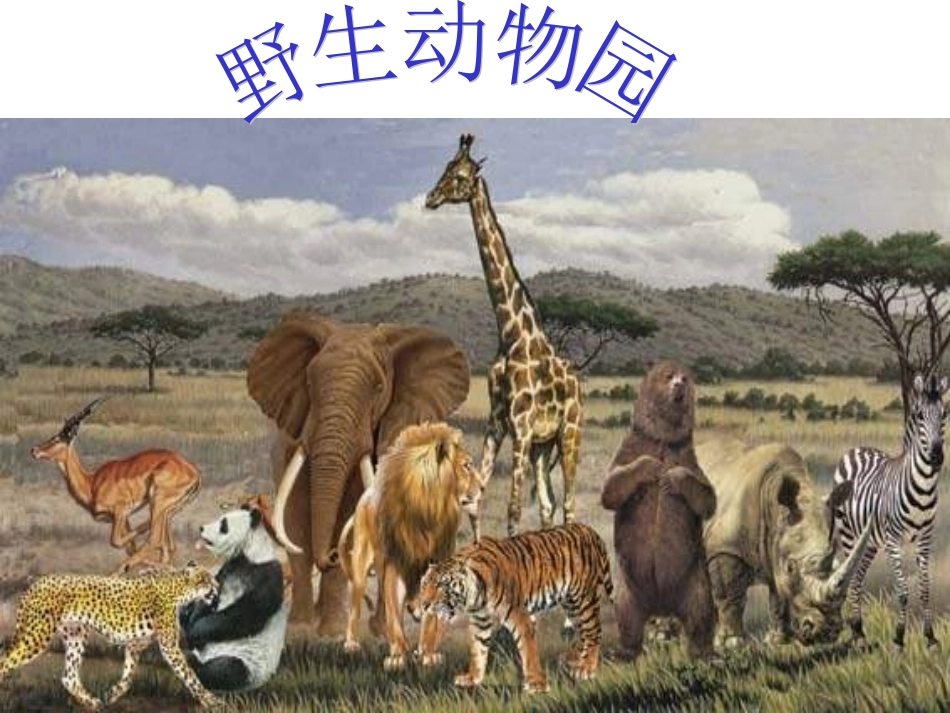 自制数学一年级上册《1～5的认识》课件_第3页