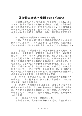 外派挂职市水务集团干部工作感悟_1 