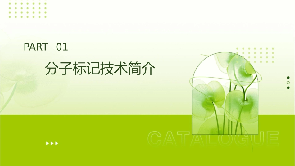分子标记及其在植物遗传育种中的应用课件_第3页