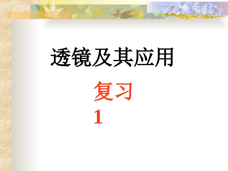 透镜及其应用复习叶_第1页