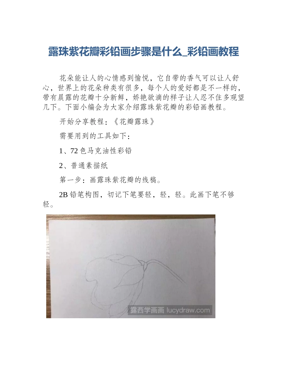 露珠紫花瓣彩铅画步骤是什么_彩铅画教程_第1页