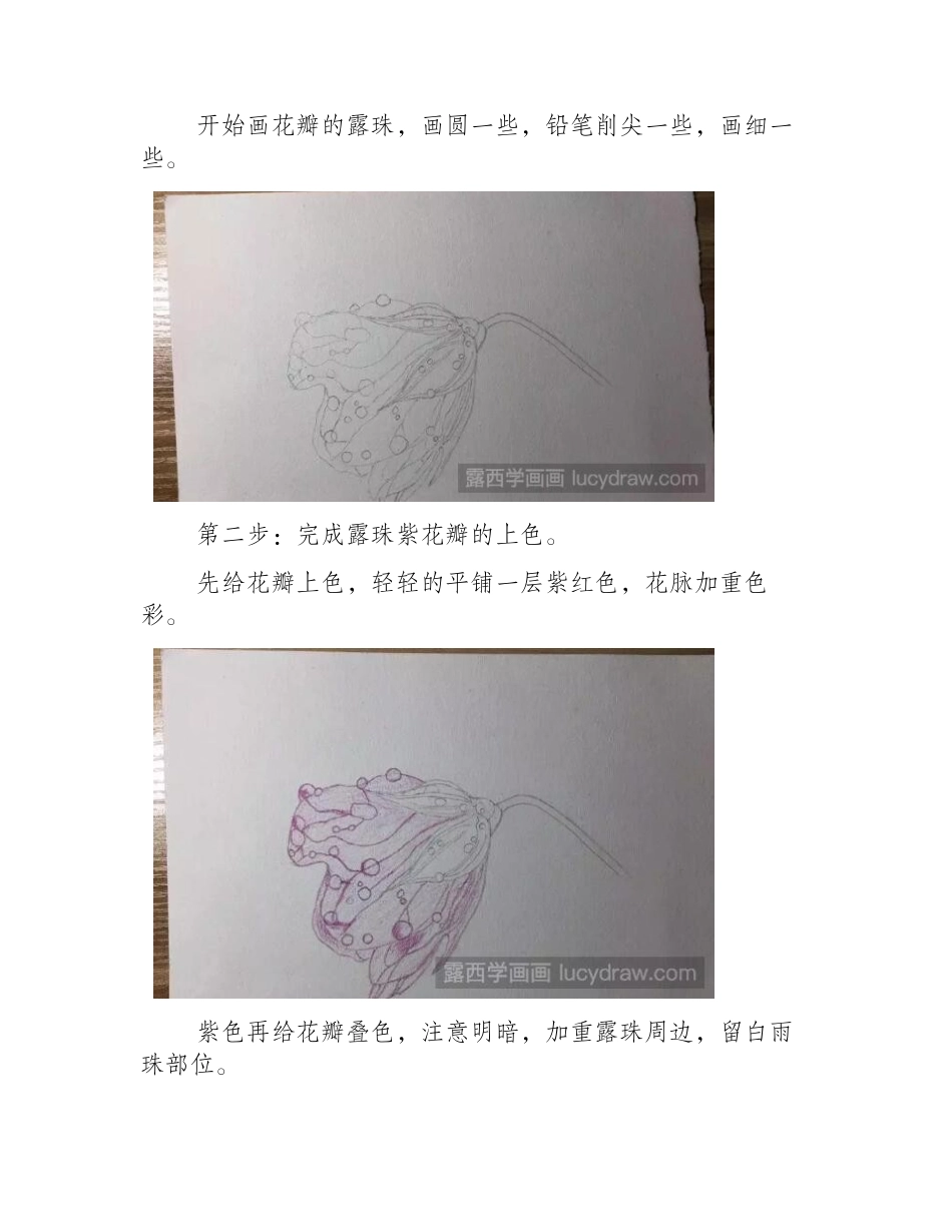 露珠紫花瓣彩铅画步骤是什么_彩铅画教程_第2页