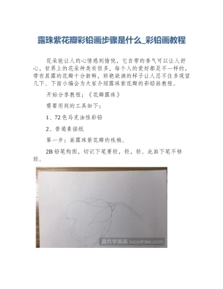 露珠紫花瓣彩铅画步骤是什么_彩铅画教程