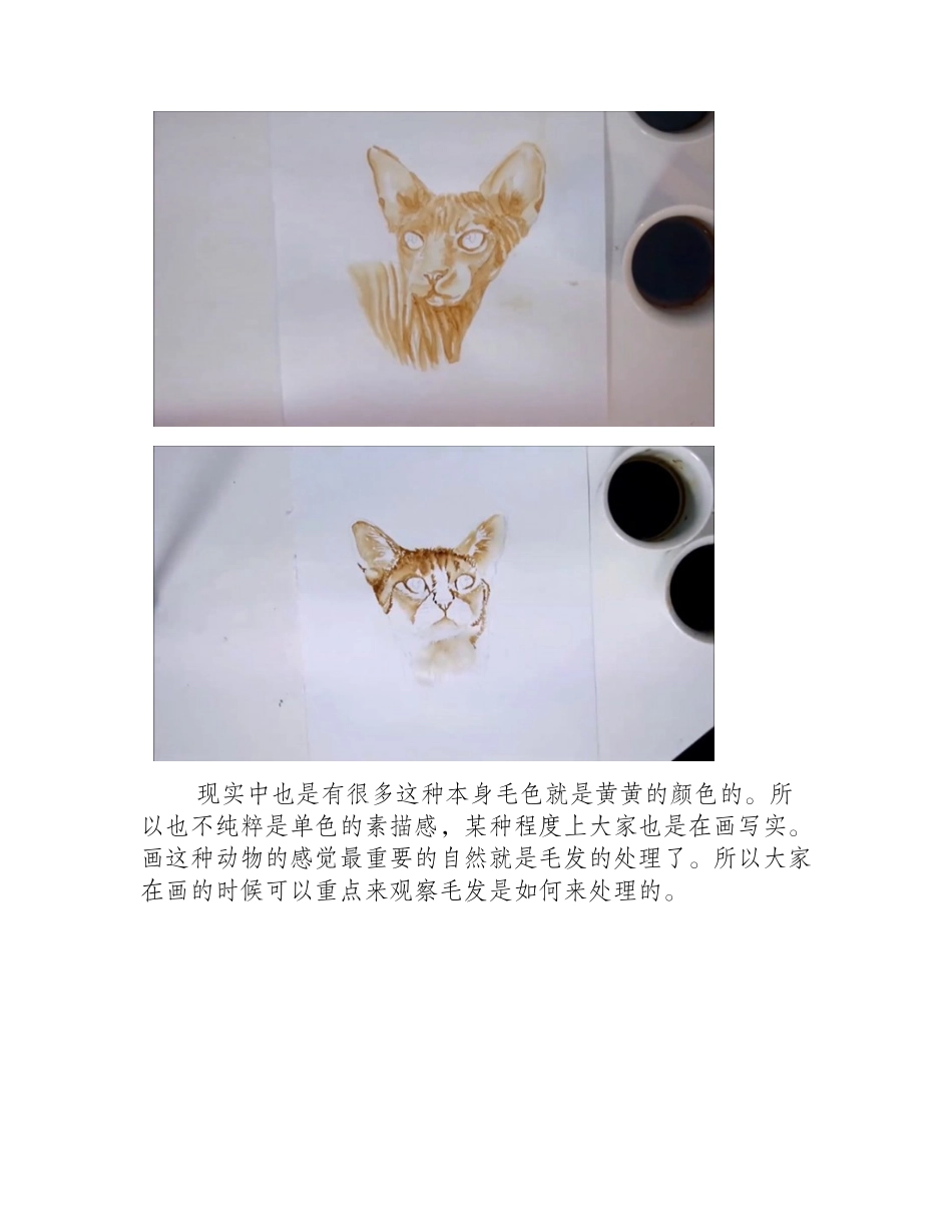 猫咪各种姿势水彩画法教程水彩画教程_第2页