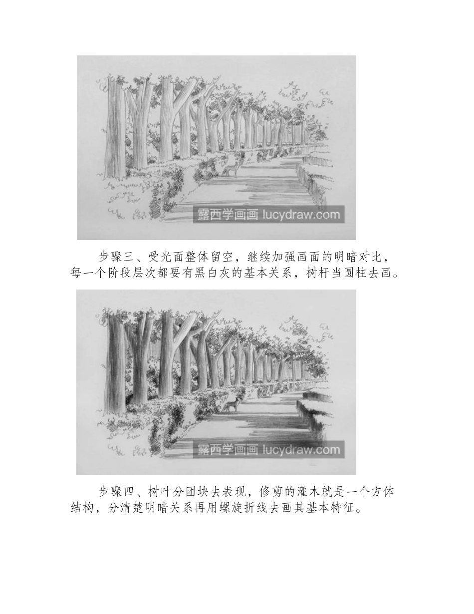 林荫小道怎么画_简单的素描画法是什么_素描教程_第2页