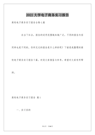 2024大学电子商务实习报告_7