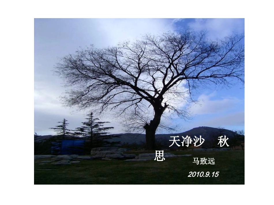天净沙秋思课件_第1页