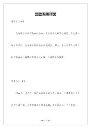 2024哥哥作文_8