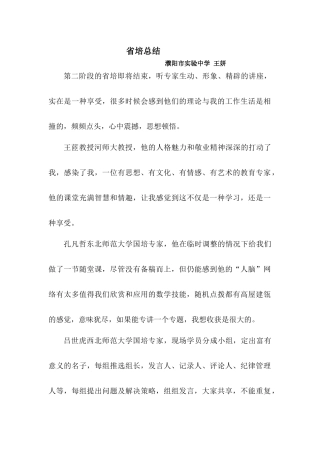 濮阳市王妍总结