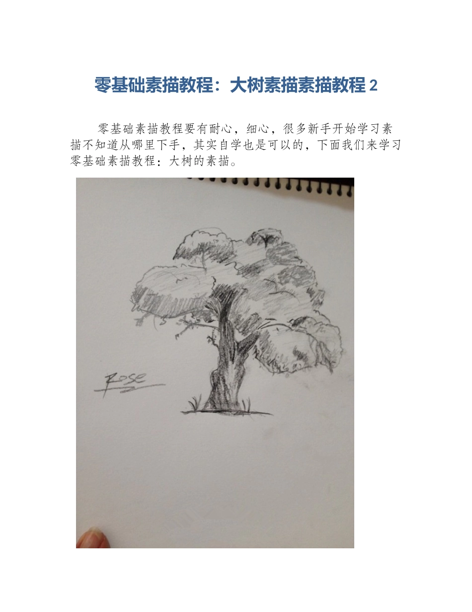 零基础素描教程：大树素描素描教程2_第1页