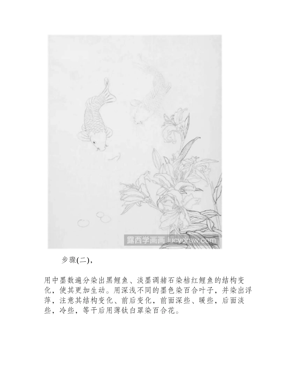 锦鲤工笔画教程工笔画教程_第2页