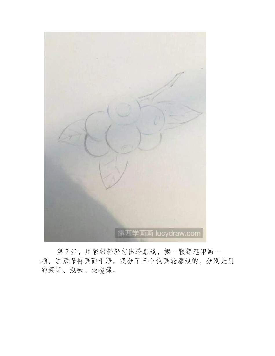 蓝莓彩铅画教程彩铅画教程1_第2页