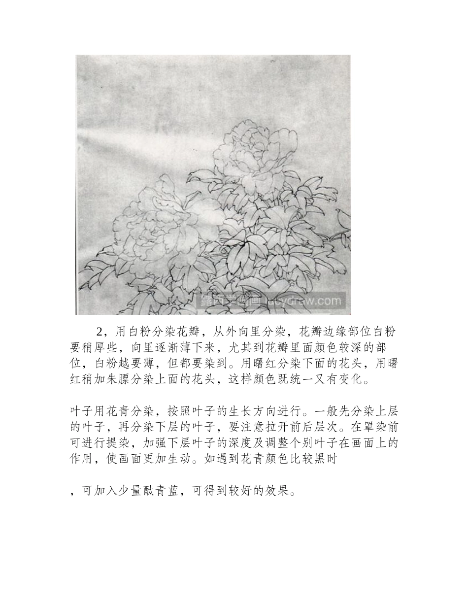 牡丹花工笔画教程工笔画教程_第2页