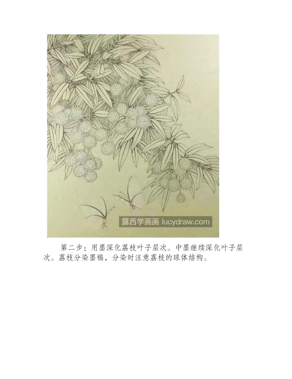 荔枝怎么画_蝶戏荔枝的工笔画法是什么_工笔画教程_第2页