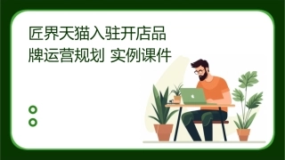 匠界天猫入驻开店品牌运营规划  实例课件