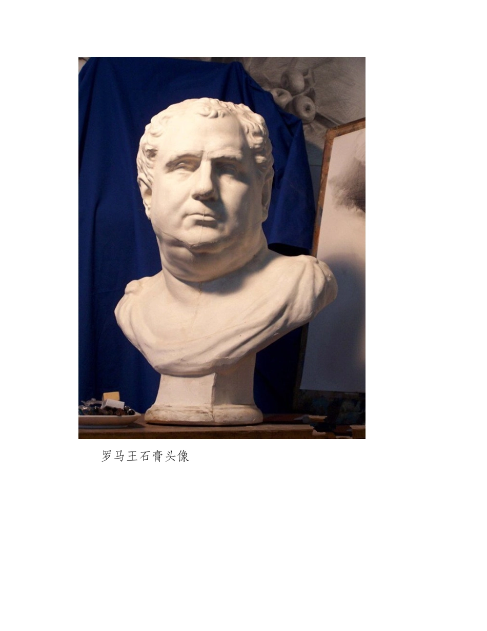 罗马王石膏像素描步骤图解素描教程1_第2页