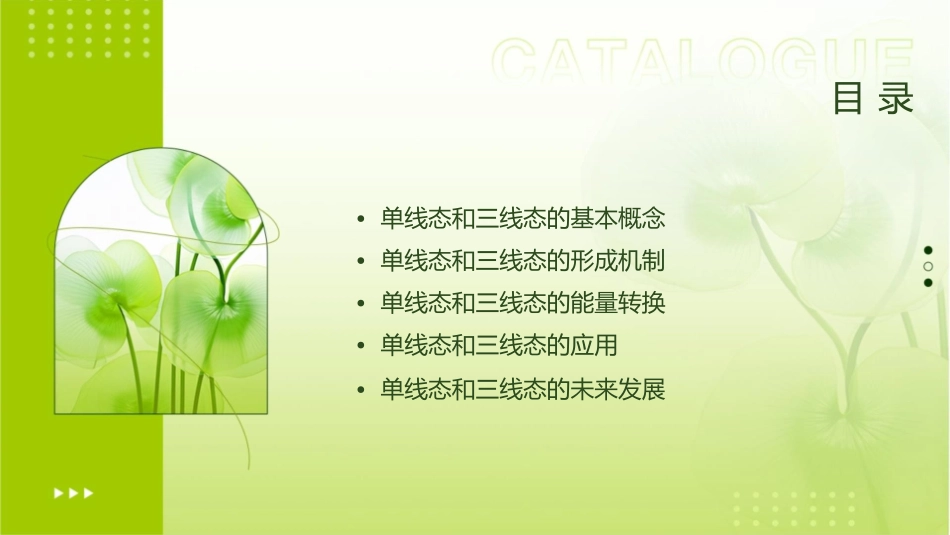 单线态和三线态课件_第2页